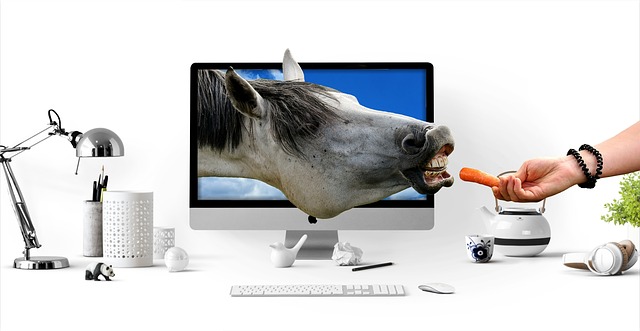 kůň z monitoru.jpg